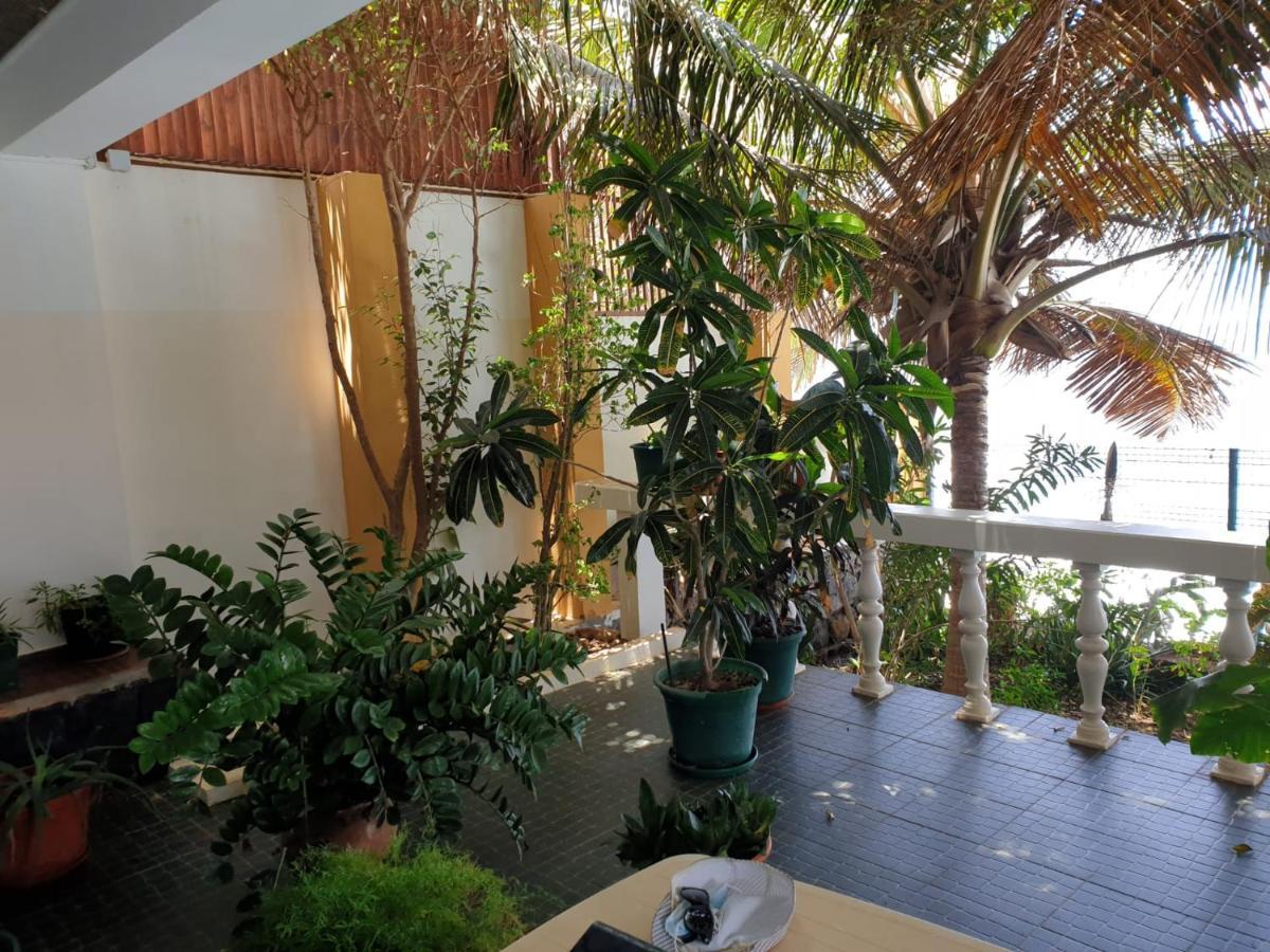 Cidade Velha Cactus Guest House מראה חיצוני תמונה